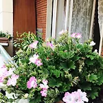 Pardis بيت ضيافة 3*