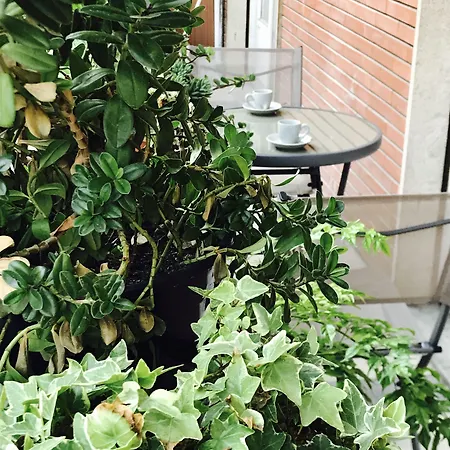 Pardis Гостевой дом 3*