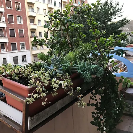 Pardis Гостевой дом Рим