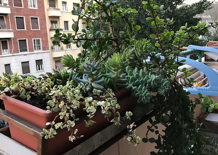 Pardis Pensionat Rom