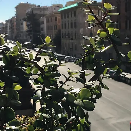 Pardis 3* Ρώμη